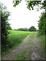 Fields Off Carr Green Lane