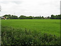 Large Field Off Carr Green Lane