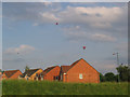 Hot Air Balloons and Houses