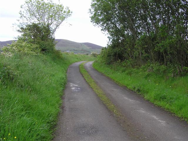 Road at Keenagh