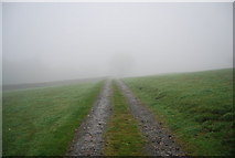 NY1701 : Footpath to Gill Bank in the mist (2) by N Chadwick