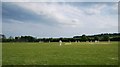 Cricket Practice in Pirton