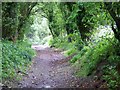 Restricted byway near Ramsdean