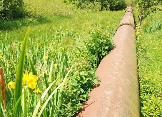 The Lagan Meadows walk, Belfast (10) © Albert Bridge :: Geograph Ireland