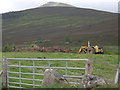 View west towards the summit of Ben Rinnes