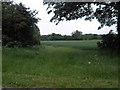 Fields near Sudbrook