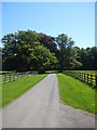 The Driveway, Sunderland Hall