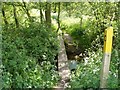 Footbridge over Black Brook