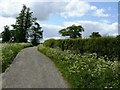 Farm Track North of Shepshed