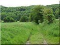 Bridleway to Treyford