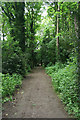 Footpath through the park