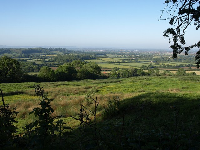 Meadow near Bowden Hill