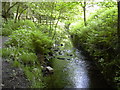 Swinnel Brook