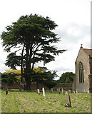 TM3794 : All Saints Church - churchyard by Evelyn Simak