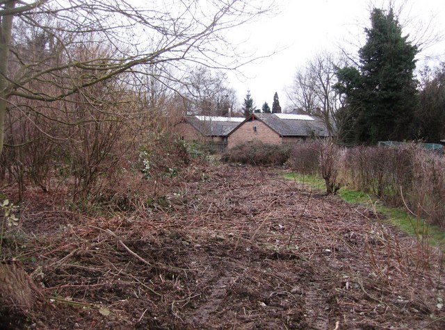 Cleared allotment plot
