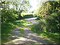 Path Down from St Elidyr