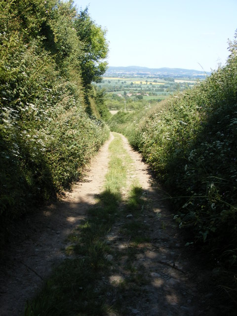 Looking down the track from Marcle Hill to Kynaston
