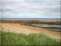NO6012 : The north wall of Kingsbarns harbour by Richard Law