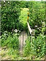 Footbridge off Dry Pot Lane