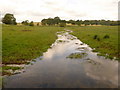 Dewlish: Devil?s Brook approaches Crawthorne