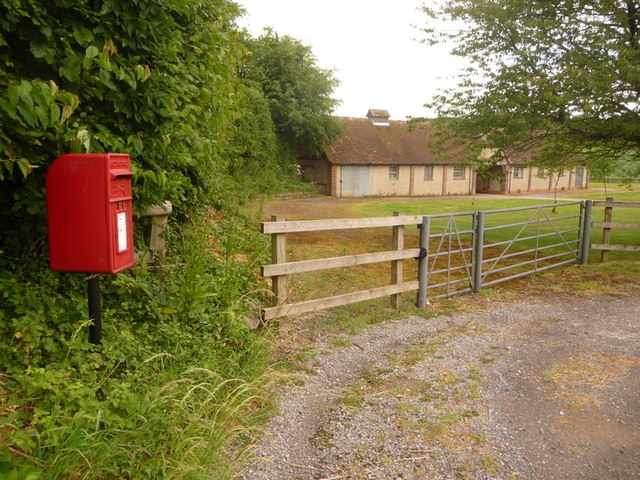 Dewlish: postbox № DT2 151, Milborne Wood