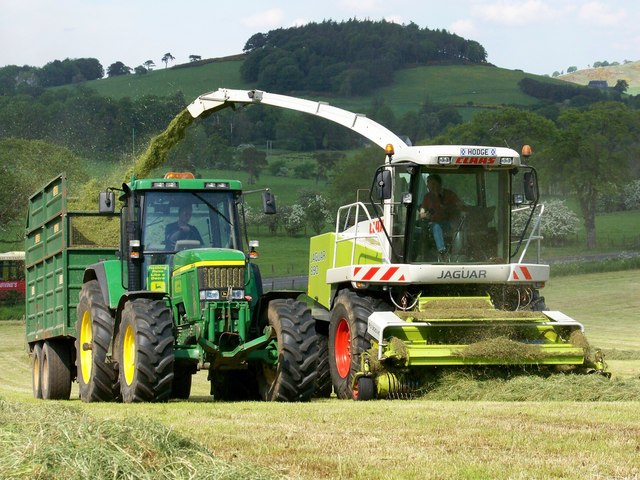 Chopping Grass for Silage