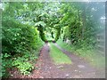 NY7708 : Footpath to Greenrigg from Kirkby Stephen by Peter Johnson