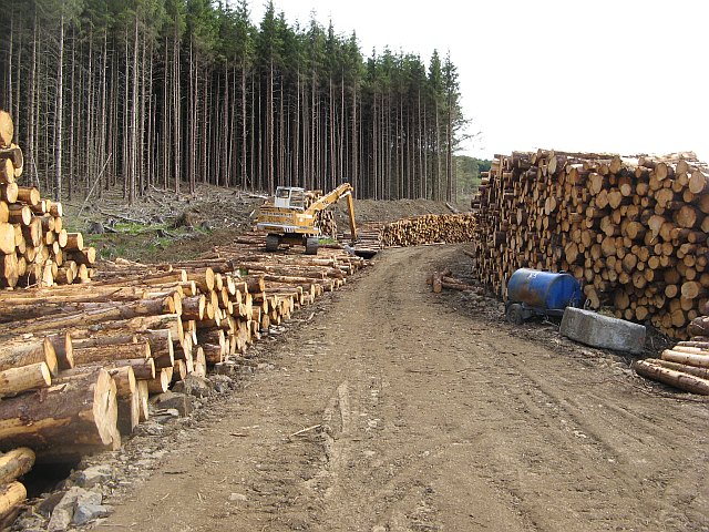 Log stacks,  Gleann Sleibhtecoire