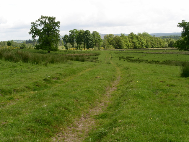 Farm track leading to High Mains
