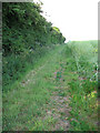 Path following a hedge