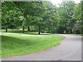 Harold Park - Cemetery Road