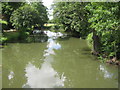 The River Medway in Tonbridge