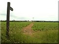 Public footpath to Leaden Roding