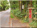 St. Leonards: postbox № BH24 32, Boundary Lane