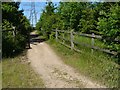 Path at Toton