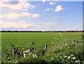 Looking towards Lossiemouth from Easter Greens