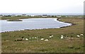 Siadar and Loch an D?in