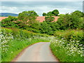 Tregate Lane in spring