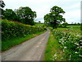 Lane at Pen-y-lan