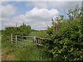 Gate entrance to field near Penrallt