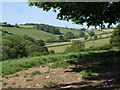 Valley at Lower Blakewell