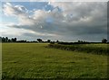 South Somerset : Grassy Field & Hedgerow