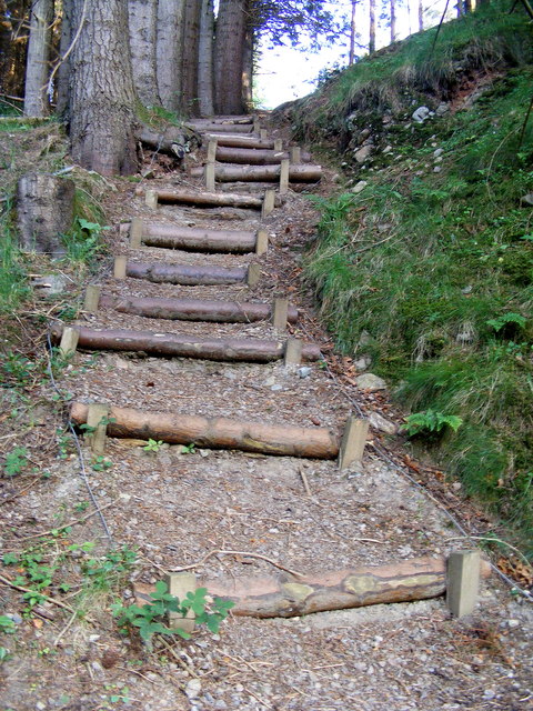 Log Steps at The Country Park © Ann Harrison cc-by-sa/2.0 :: Geograph ...