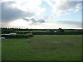 South Somerset : Grassy Field & Hedgerows