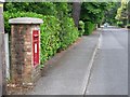 SZ0898 : West Parley: postbox № BH22 116, Dudsbury Road by Chris Downer