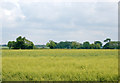 The view east from Oaklands Farm