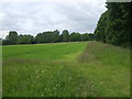 Field Boundary at Crossley Wood