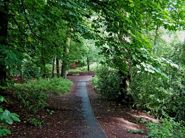 Footpath in Hurcott Wood, near boathouse © P L Chadwick :: Geograph ...