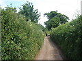 Bridleway, near Alphington