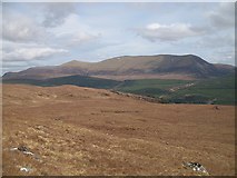 NH3967 : Ben Wyvis from Carn na Dubh Choille by Richard Webb